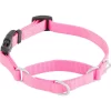 Frisco Solid Nylon Martingale Dog Collar With Buckle
