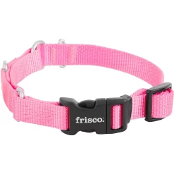 Frisco Solid Nylon Martingale Dog Collar With Buckle -Frisco Shop 139177 PT3. AC SS1800 V1620068872