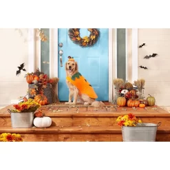 Frisco Pumpkin Dog & Cat Costume -Frisco Shop 144446 PT3. AC SS1800 V1567175221