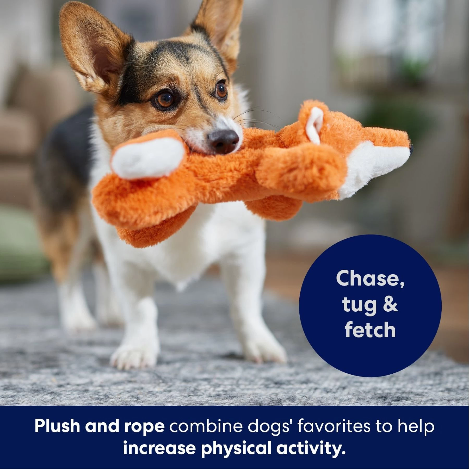 Frisco Fox Plush With Inside Rope Squeaky Dog Toy 5 Frisco Fox Plush With Inside Rope Squeaky Dog Toy - Image 5
