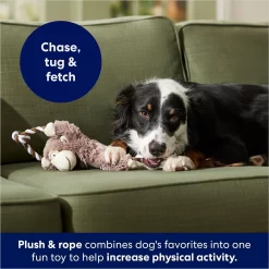 Frisco Monkey Plush With Rope Squeaky Dog Toy -Frisco Shop 147067 PT4. AC SS1800 V1686079871