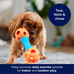 Frisco Dumbbell TPR Fetch Dog Toy -Frisco Shop 147108 PT3. AC SS1800 V1695241969