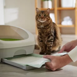 Frisco Cat Litter Pads, Unscented -Frisco Shop 149816 PT5. AC SS1800 V1675279991