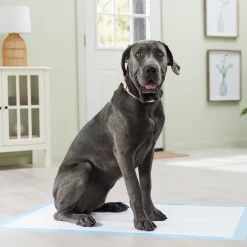 Frisco Premium Giant Dog Training & Potty Pads -Frisco Shop 152699 PT6. AC SS1800 V1674671620