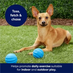 Frisco Foam Rubber Floating Fetch Ball No Squeak Dog Toy -Frisco Shop 152798 PT4. AC SS1800 V1686579140