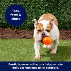 Frisco Fetch Squeaky TPR Ball Dog Toy 10 Frisco Fetch Squeaky TPR Ball Dog Toy -Frisco Shop 152801 PT4. AC SS1800 V1686580091