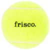 Frisco Fetch Squeaky Tennis Ball Dog Toy