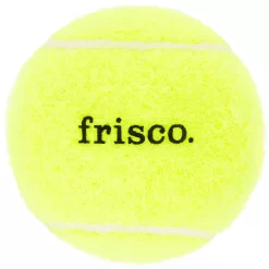 Frisco Fetch Squeaky Tennis Ball Dog Toy