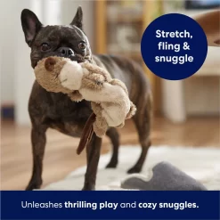 Frisco Beaver Bungee Plush Squeaky Dog Toy -Frisco Shop 152824 PT5. AC SS1800 V1686580146