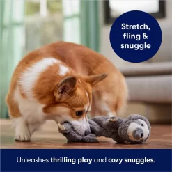 Frisco Sloth Bungee Plush Squeaky Dog Toy -Frisco Shop 152826 PT5. AC SS1800 V1686579214