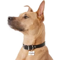 Frisco Personalized Dog ID Tag, Bone -Frisco Shop 152994 PT5. AC SS1800 V1559856739