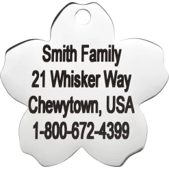 Frisco Stainless Steel Personalized Dog & Cat ID Tag, Flower -Frisco Shop 153002 PT3. AC SS1800 V1548964703