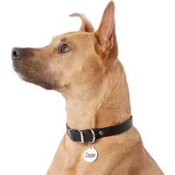 Frisco Personalized Dog & Cat Tag, Round -Frisco Shop 153015 PT5. AC SS1800 V1540562586