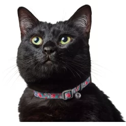 Frisco Rose Polyester Breakaway Cat Collar With Bell -Frisco Shop 153160 PT3. AC SS1800 V1701796877