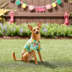 Frisco Pineapple Hawaiian Camp Dog & Cat Shirt -Frisco Shop 153596 PT7. AC SS1800 V1644884316
