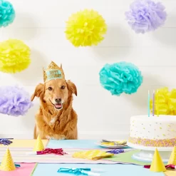Frisco Happy Birthday Dog & Cat Crown -Frisco Shop 153665 PT5. AC SS1800 V1551231039