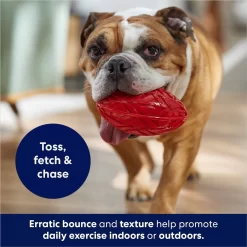 Frisco Football TPR Squeaky Dog Toy -Frisco Shop 154412 PT3. AC SS1800 V1686578718