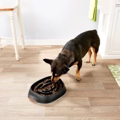 Frisco Non-Skid Slow Feeder Dog & Small Pet Bowl 10 Frisco Non-Skid Slow Feeder Dog & Small Pet Bowl -Frisco Shop 155648 PT4. AC SS1800 V1553538724