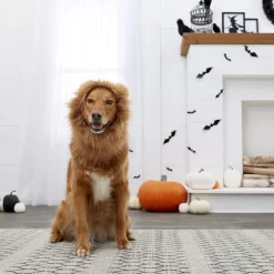 Frisco Lion Mane Dog & Cat Costume -Frisco Shop 158732 PT7. AC SS1800 V1691686202