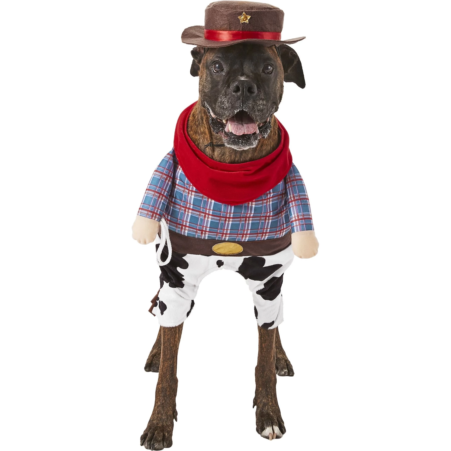 Frisco Front Walking Cowboy Dog & Cat Costume 1 Frisco Front Walking Cowboy Dog & Cat Costume