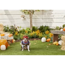 Frisco Front Walking Cowboy Dog & Cat Costume 9 Frisco Front Walking Cowboy Dog & Cat Costume -Frisco Shop 158842 PT3. AC SS1800 V1567176047