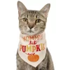 Frisco Mommy's Lil Pumpkin Dog & Cat Bandana