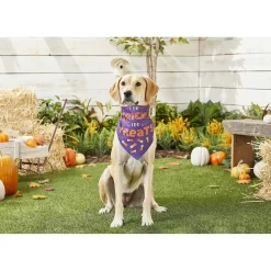 Frisco I Do Tricks For Treats Dog & Cat Bandana -Frisco Shop 158938 PT4. AC SS1800 V1633069923