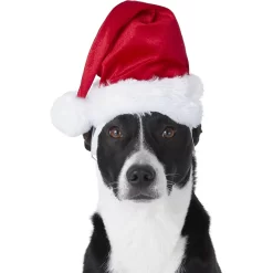 Frisco Holiday Dog & Cat Santa Hat, 1 Count -Frisco Shop 160054 PT2. AC SS1800 V1669100718