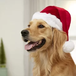 Frisco Holiday Dog & Cat Santa Hat, 1 Count -Frisco Shop 160054 PT4. AC SS1800 V1637650626