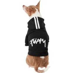 Frisco Püppy Dog Athletic Hoodie 9 Frisco Püppy Dog Athletic Hoodie -Frisco Shop 160342 PT2. AC SS1800 V1637689590