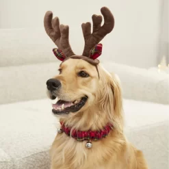 Frisco Holiday Antler Headband & Bell Collar Dog & Cat Costume -Frisco Shop 160658 PT4. AC SS1800 V1568818037