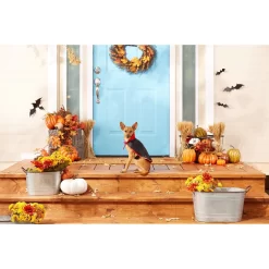 Frisco Vampire Cape Dog & Cat Costume -Frisco Shop 160793 PT3. AC SS1800 V1567176564