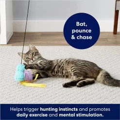 Frisco Bird With Feathers Teaser Wand Cat Toy With Catnip -Frisco Shop 161199 PT2. AC SS1800 V1678723897