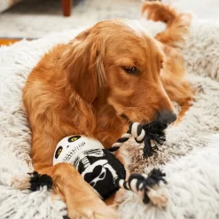 Frisco Halloween Skeleton Plush With Rope Squeaky Dog Toy -Frisco Shop 161358 PT6. AC SS1800 V1597599370