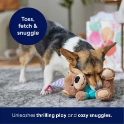 Frisco Birthday Bear Plush Squeaky Dog Toy -Frisco Shop 162836 PT4. AC SS1800 V1695670999