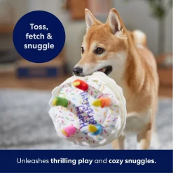Frisco Birthday Cake Plush Squeaky Dog Toy -Frisco Shop 162839 PT4. AC SS1800 V1695671061