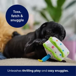 Frisco Birthday Cake Slice Plush Squeaky Dog Toy -Frisco Shop 162906 PT4. AC SS1800 V1695671059