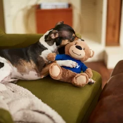 Frisco Chewy Bear Plush Squeaky Dog Toy -Frisco Shop 164312 PT3. AC SS1800 V1600973456