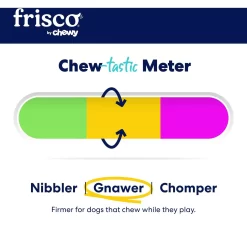 Frisco Chewy Fetch Squeaky Tennis Ball Dog Toy -Frisco Shop 164314 PT3. AC SS1800 V1691783970