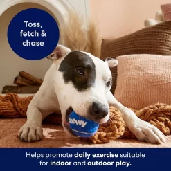 Frisco Chewy Fetch Squeaky Tennis Ball Dog Toy -Frisco Shop 164314 PT5. AC SS1800 V1691783910