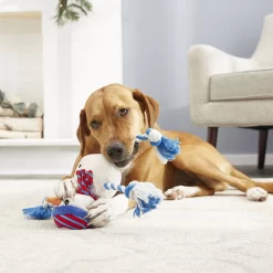 Frisco Holiday Snowman Plush With Rope Squeaky Dog Toy -Frisco Shop 164645 PT2. AC SS1800 V1568910233