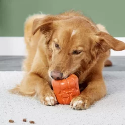 Frisco Halloween Pumpkin Rubber Treat Dispenser Dog Toy, Medium/Large -Frisco Shop 164763 PT5. AC SS1800 V1689876672