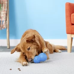 Frisco Snowman Rubber Treat Dispenser Dog Toy 11 Frisco Snowman Rubber Treat Dispenser Dog Toy -Frisco Shop 164769 PT4. AC SS1800 V1563808954