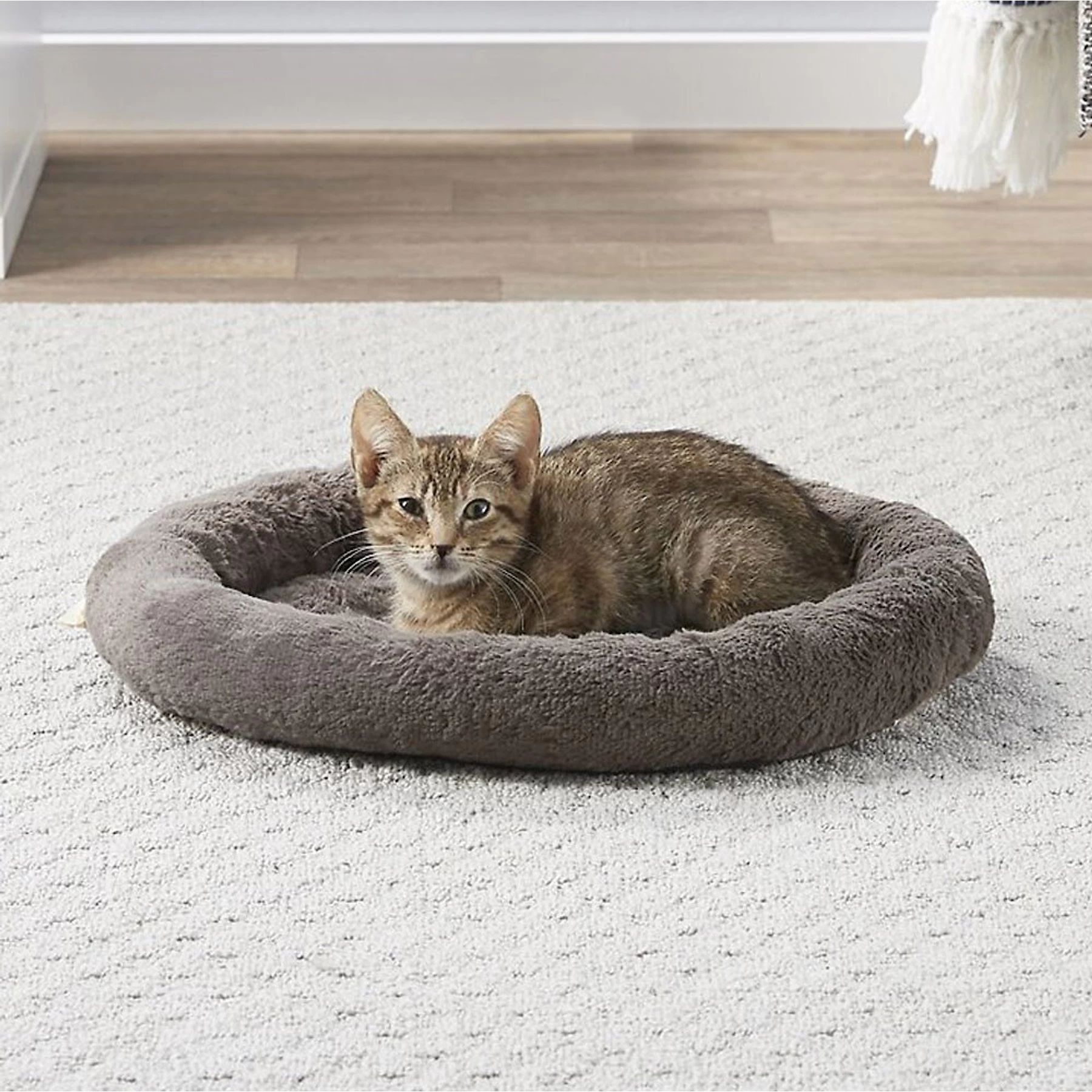Frisco Self Warming Bolster Round Kitten Bed 1 Frisco Self Warming Bolster Round Kitten Bed