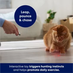 Frisco 2-in-1 Laser & LED Light Laser Cat Toy -Frisco Shop 166309 PT3. AC SS1800 V1686579688