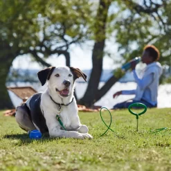 Frisco Easy Grip Stake With Tie Out Cable, Large -Frisco Shop 166447 PT5. AC SS1800 V1701796826