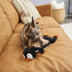 Frisco Penguin Skinny Plush Squeaky Dog Toy 5 Frisco Penguin Skinny Plush Squeaky Dog Toy -Frisco Shop 174707 PT2. AC SS1800 V1573492672