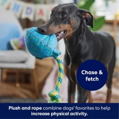 Frisco Birthday Balloon Plush With Rope Squeaky Dog Toy -Frisco Shop 177807 PT3. AC SS1800 V1695241973