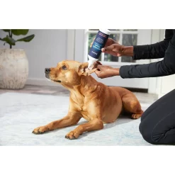 Frisco Anti-Bacterial And Anti-Fungal Ear Flush Cleaner For Cats & Dogs, 12-oz Bottle -Frisco Shop 178705 PT3. AC SS1800 V1582124328