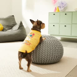 Frisco Llama-zing Birthday Dog & Cat T-Shirt -Frisco Shop 191240 PT4. AC SS1800 V1582053521